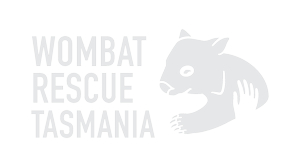Wombat Rescue Tasmania Logo